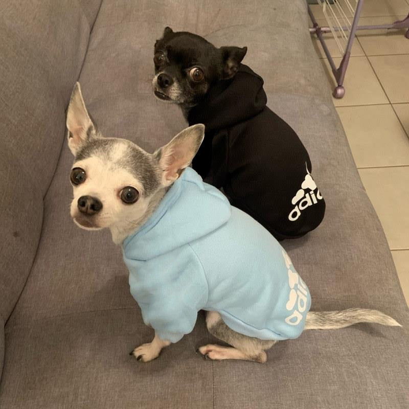 Adidog Doggy Sweatshirt
