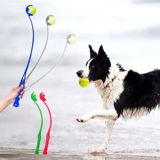 Long Arm Tennis Ball Launcher