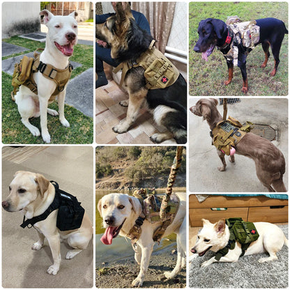 Heavy Duty Pet Harness(all sizes available)