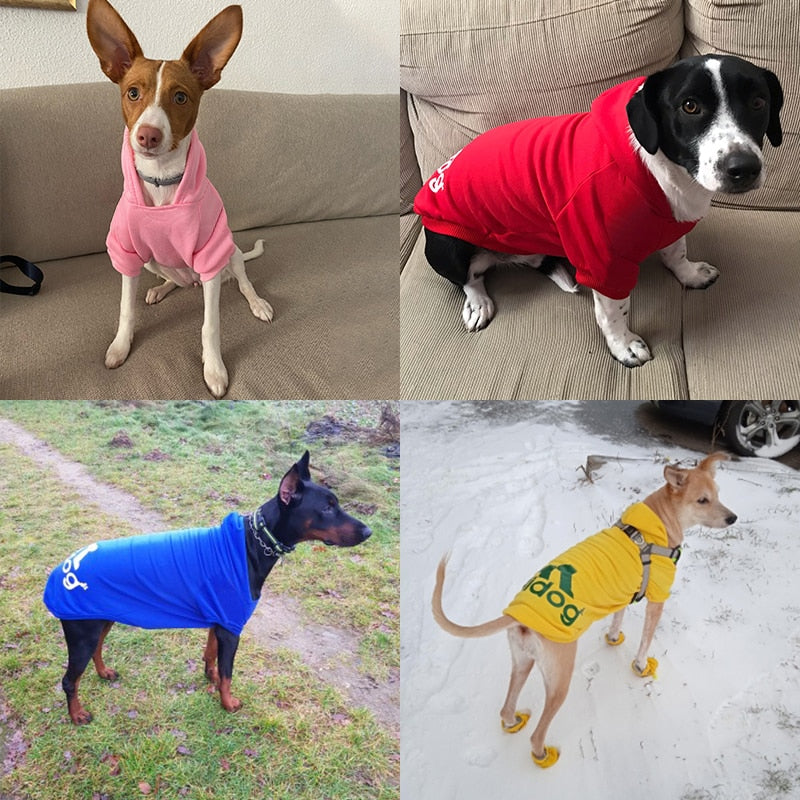 Adidog Doggy Sweatshirt