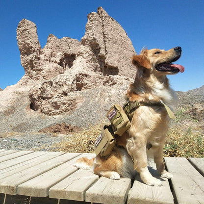 Tactical Dog Molle Vest Harness