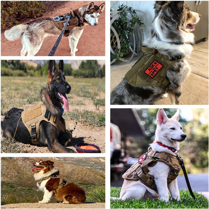 Heavy Duty Pet Harness(all sizes available)